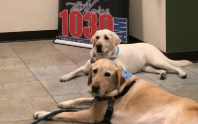 Kiernan’s Kindness on KVOI’s  Wake Up Tucson Radio Show